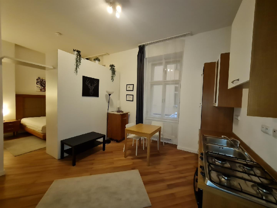 Prodej bytu 1+1 ,35m2 v centru Prahy 1 u Staroměstského náměstí